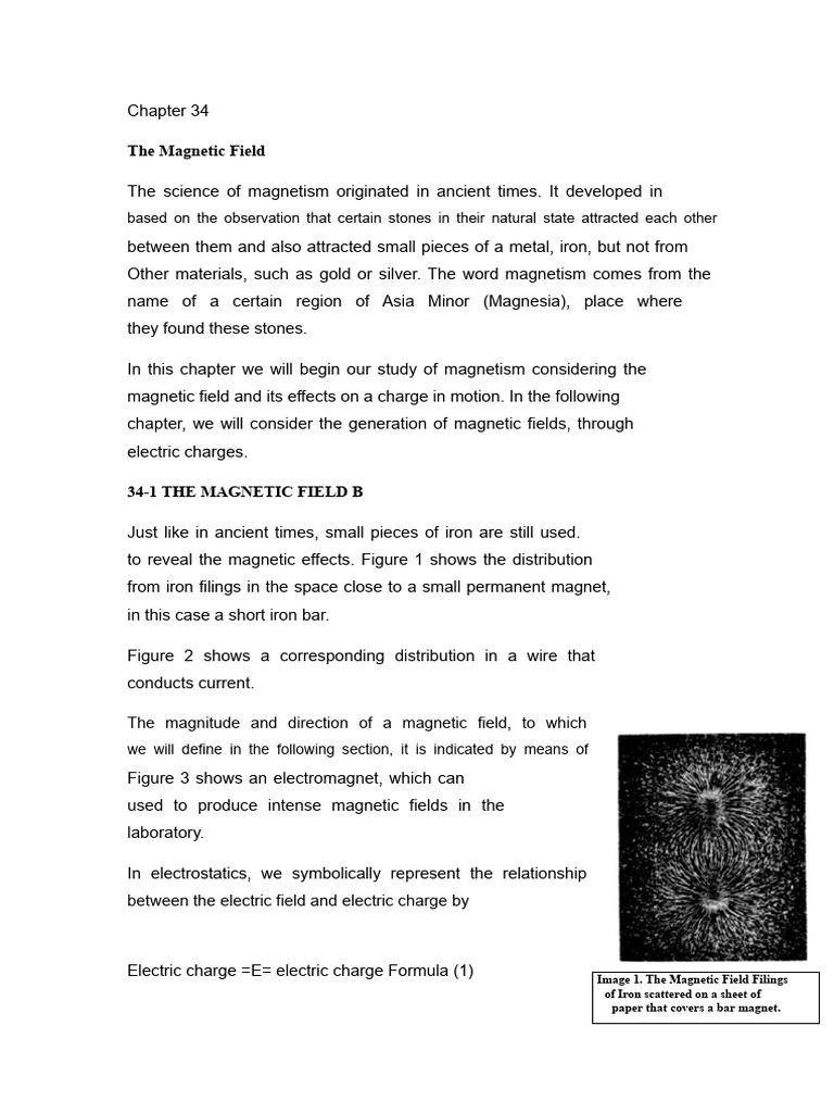 Understanding Magnetic Fields and Forces | PDF | Magnetic Field | Force