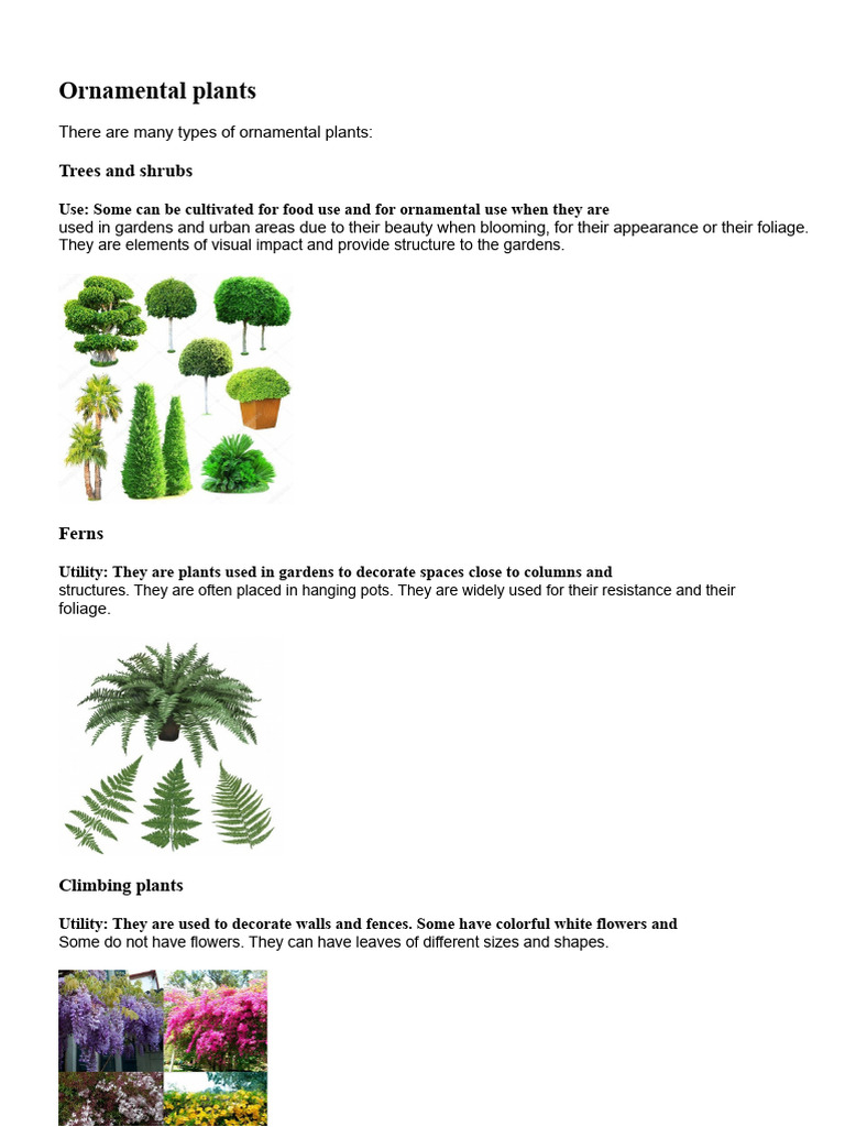 Types and Uses of Ornamental Plants | PDF | Textiles | Cotton