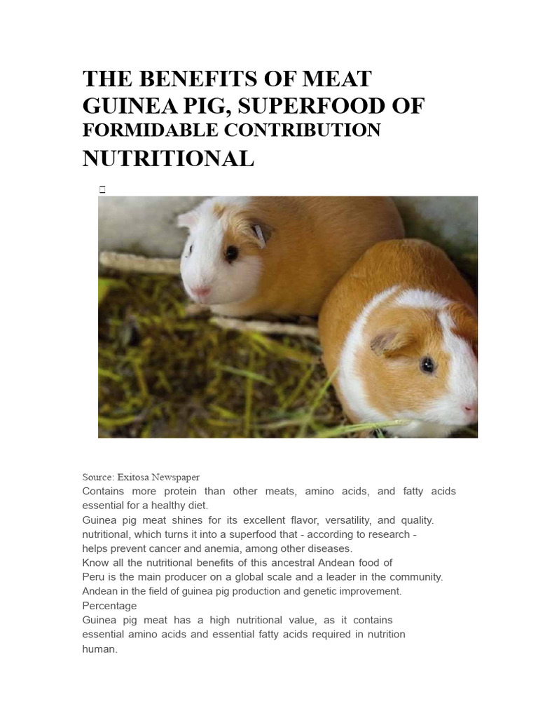 Guinea Pig Raw Diet Benefits Viscous Circulation Reference: Nutritional Benefits Of Guinea Pig Meat Pdf Nutrition
