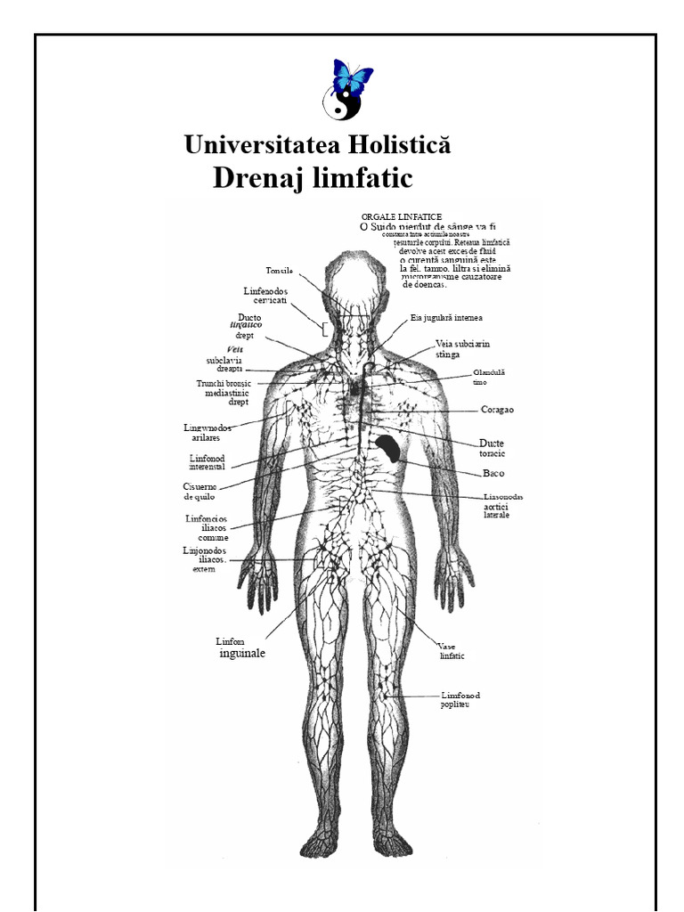 Apostila - Drenaj Limfatic | PDF
