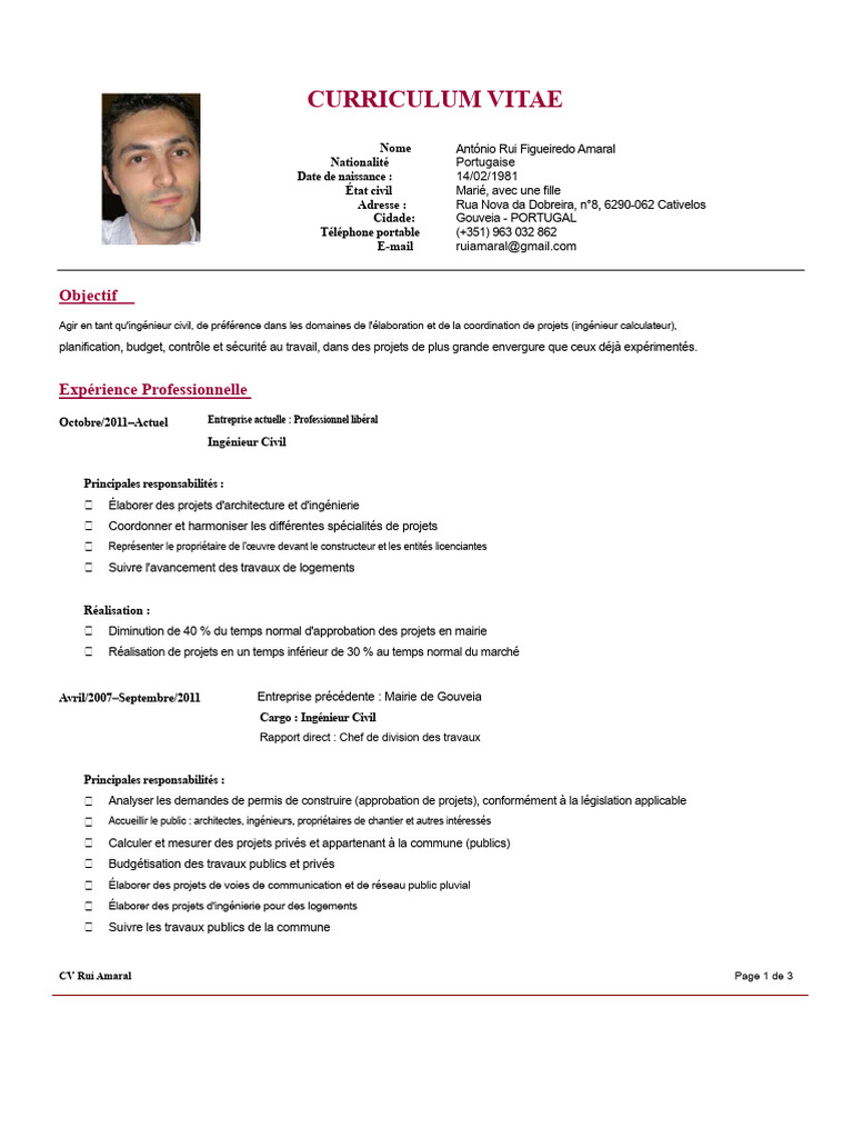 CV Ingénieur Civil Rui Amaral | PDF | Microsoft Office