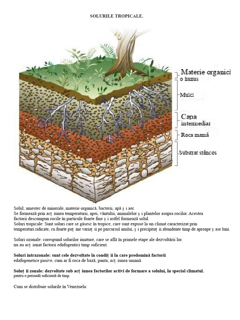 Solurile Tropicale | PDF
