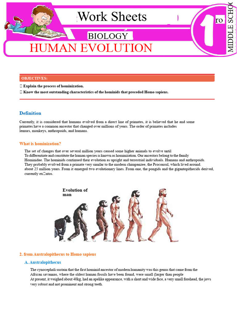 Understanding Hominization and Human Evolution | PDF | Homo | Human ...