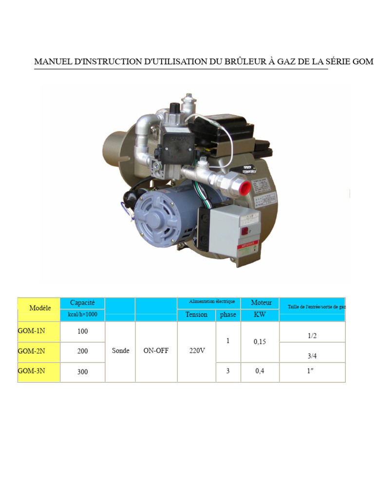 Manuel d'utilisation brûleur gaz GOM | PDF | Allumage | La combustion