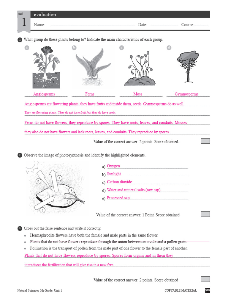 Savia 5EP U1 Plants Evaluation Sol PDF | PDF | Plants | Flowers