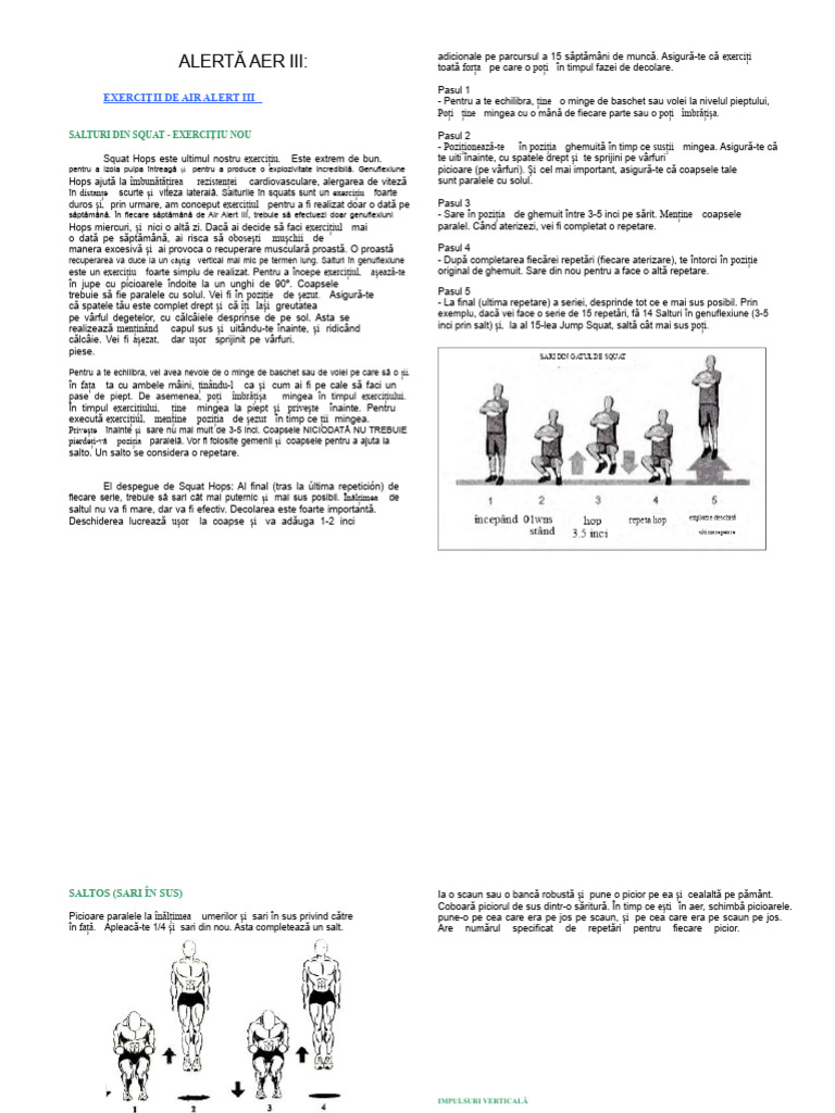 Programul Air Alert III | PDF