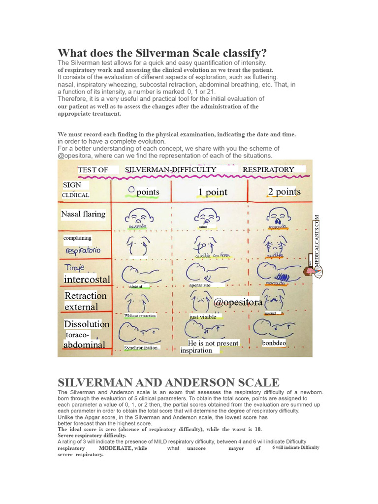 Silverman-Anderson Scale for Newborns | PDF | Medical Specialties ...