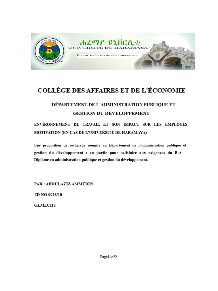 Impact de l'environnement de travail sur la motivation des employés ...