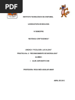 Práctica 2- Reconocimiento de microalgas