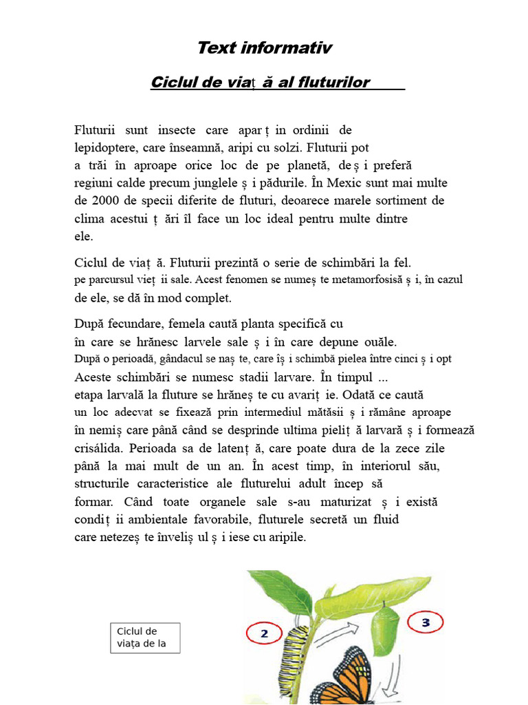 Text Informativ Despre Fluturi | PDF