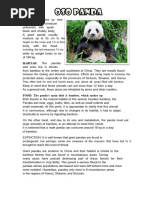 Panda Adaptations: Behavior & Structure | PDF | Giant Panda | Digestion