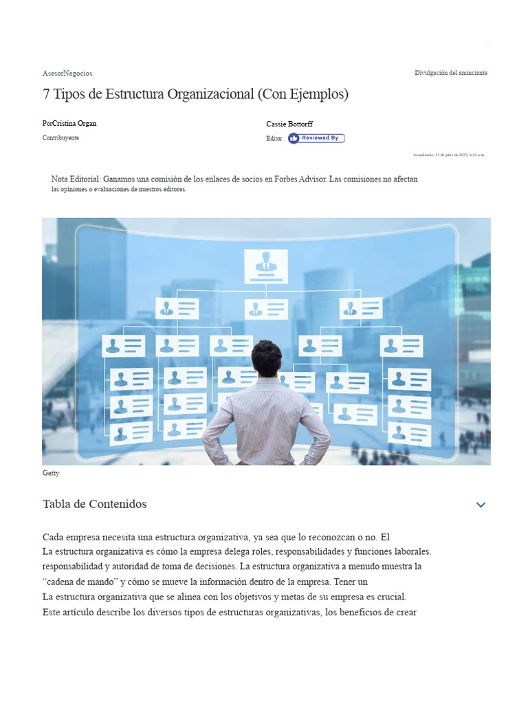 Tipos de Estructura Organizacional | PDF | Business | Toma de decisiones