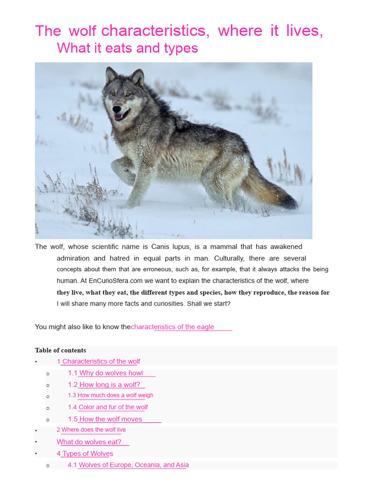 Wolf Characteristics and Habitat Guide | PDF | Pack (Canine) | Predation