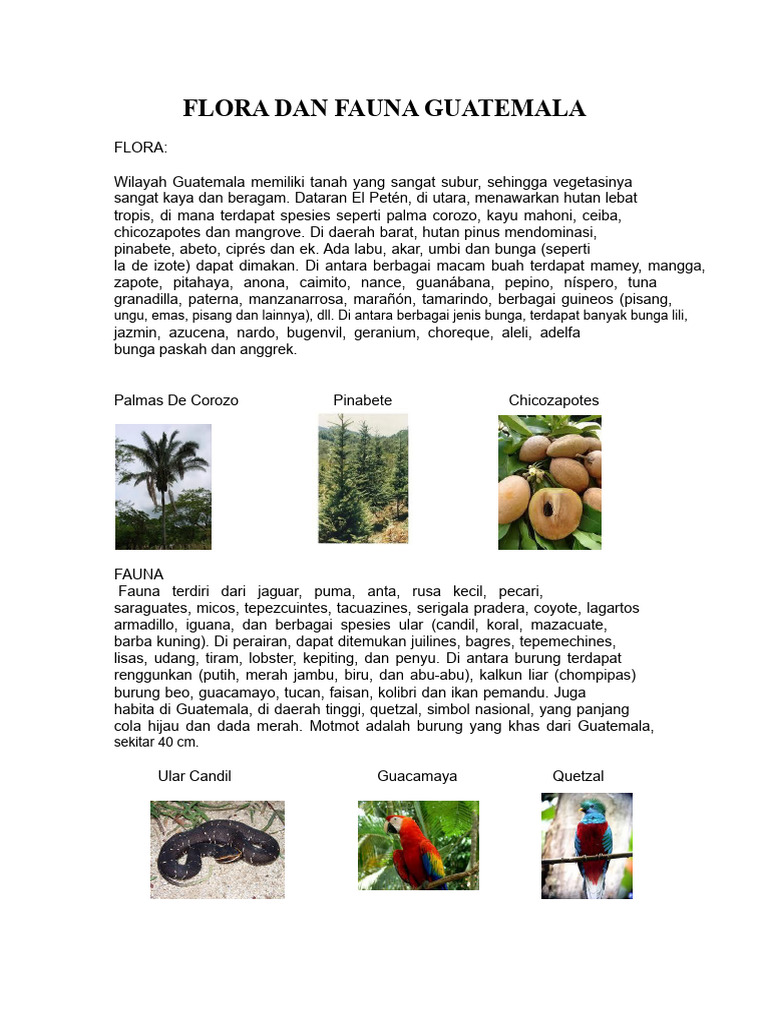 Kekayaan Flora dan Fauna Guatemala | PDF