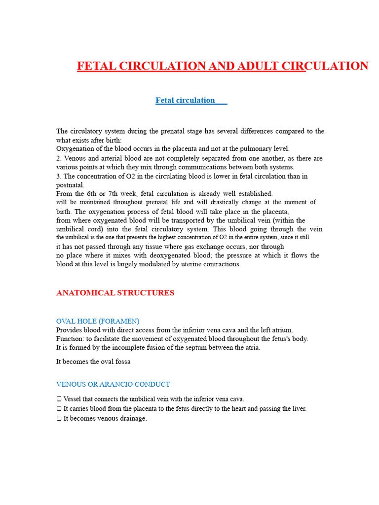 Fetal vs Adult Circulation Explained | PDF | Circulatory System | Fetus
