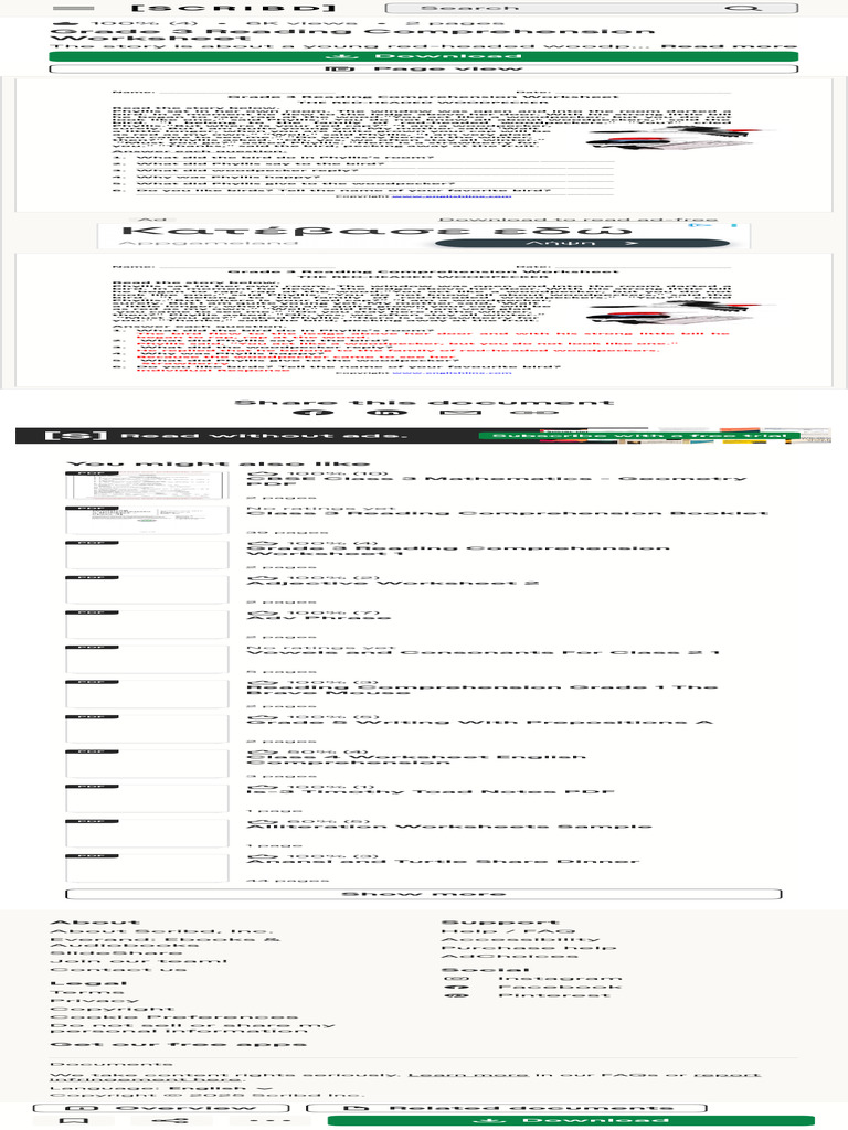 Grade 3 Reading Comprehension Worksheet | PDF