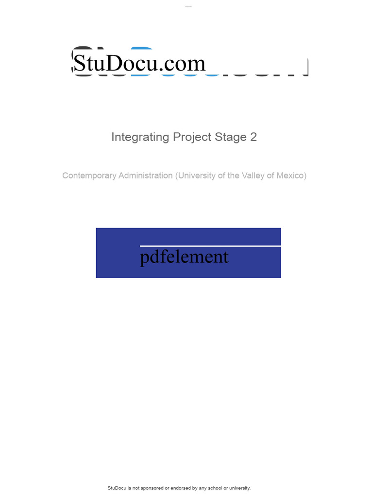 Integrative Project Stage 2 Overview | PDF | Swot Analysis | Business ...