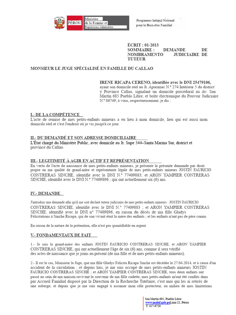 Demande de Tutelle Judiciaire au Callao | PDF | Institutions sociales