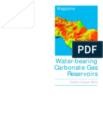 Water-Bearing Carbonate Gas Reservoirs China