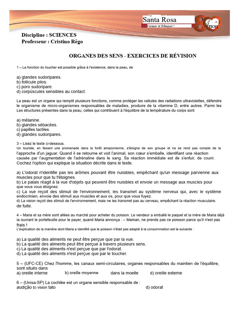 Exercices de révision sur les organes des sens | PDF | Oreille | la ...