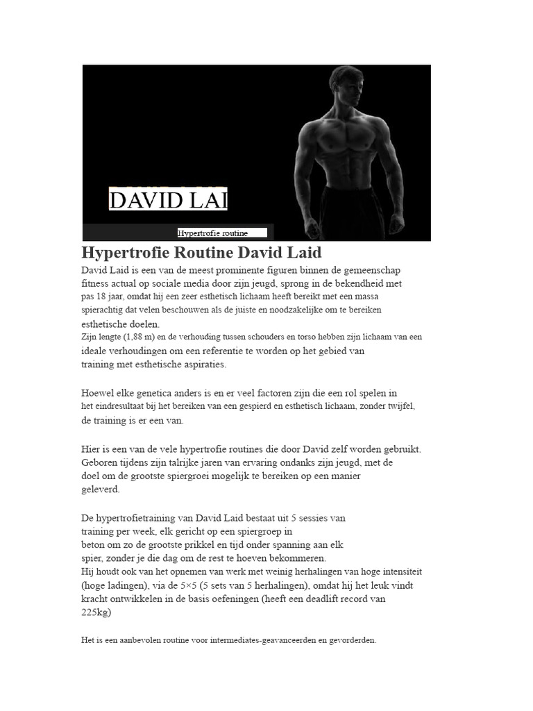 David | PDF
