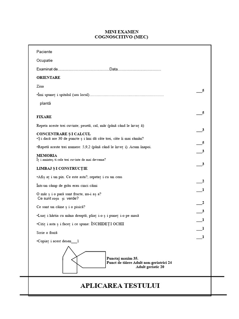 Testul Mini Mental | PDF