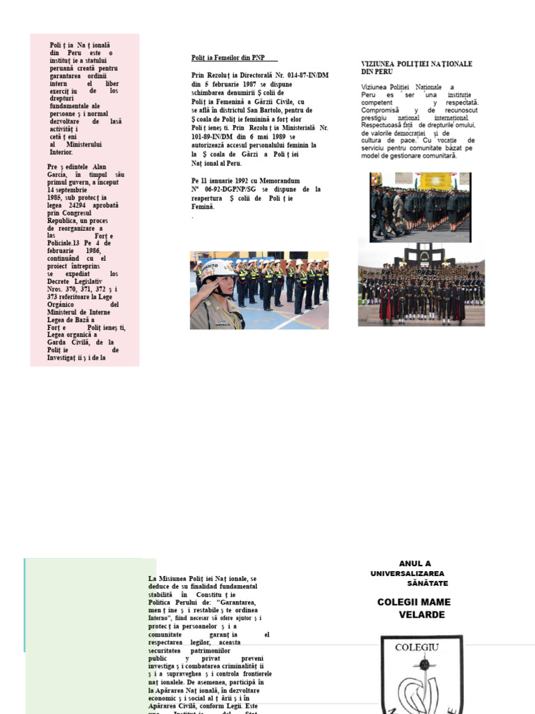 Triptic PNP | PDF