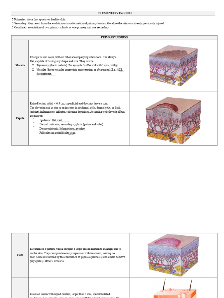 Understanding Primary Skin Lesions | PDF | Diseases And Disorders ...