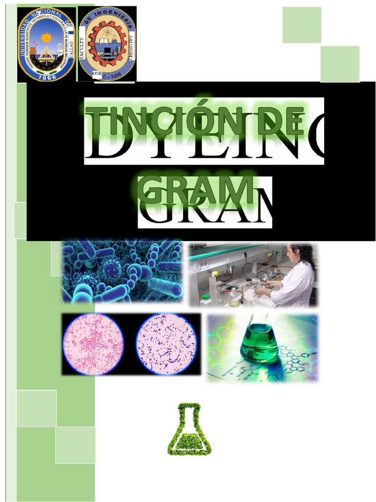 Gram Staining in Microbiology Lab Report | PDF | Gram Positive Bacteria ...