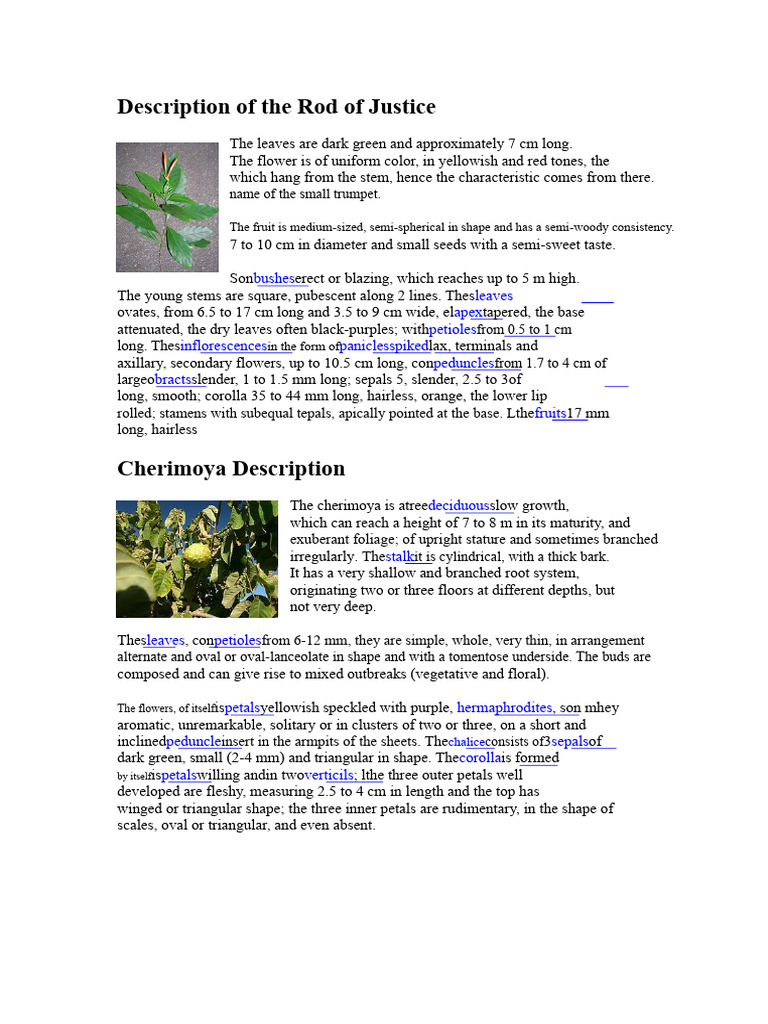 Description of The Rod of Justice | PDF | Leaf | Flowers
