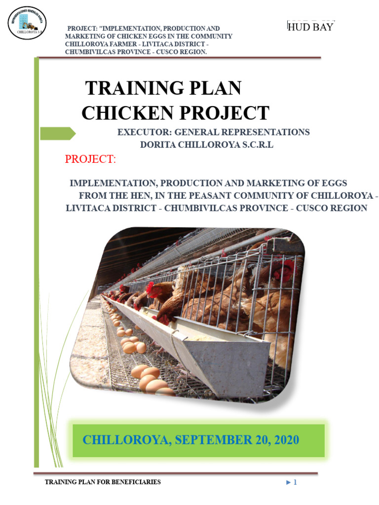 Chicken Egg Production Training Plan | PDF | Chicken | Poultry Farming