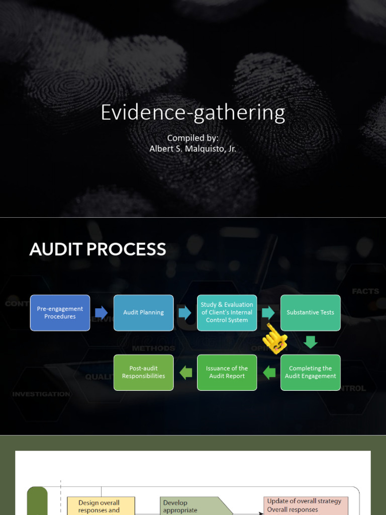 Comprehensive Audit Evidence Guide | PDF | Audit | Business