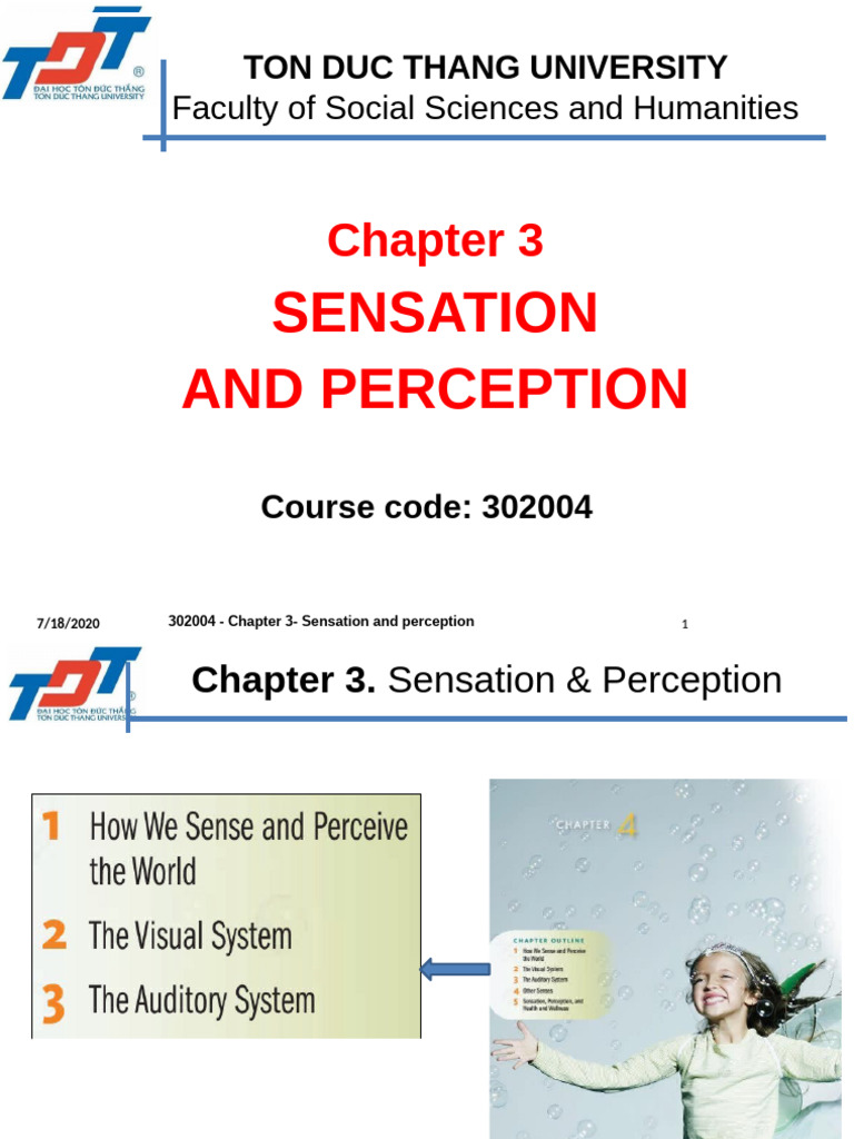 CHAPTER 3 - Sensation and Perception | PDF | Senses | Perception