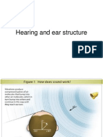 Hearing and Ear Structure 