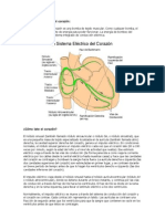 El Sistema Electrico Del Corazon