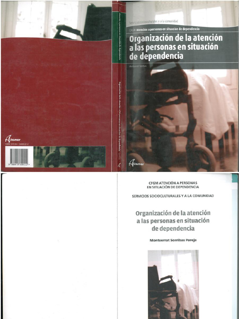 Organizacion de La Atencion A Las Personas en Situacion de Dependencia ...