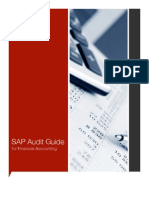 SAP Audit Guide Financial Accouting