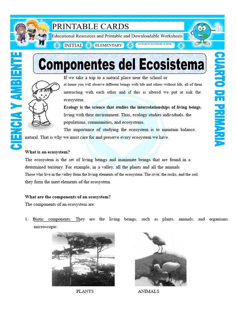 Understanding Ecosystems and Ecology | PDF | Ecosystem | Ecology