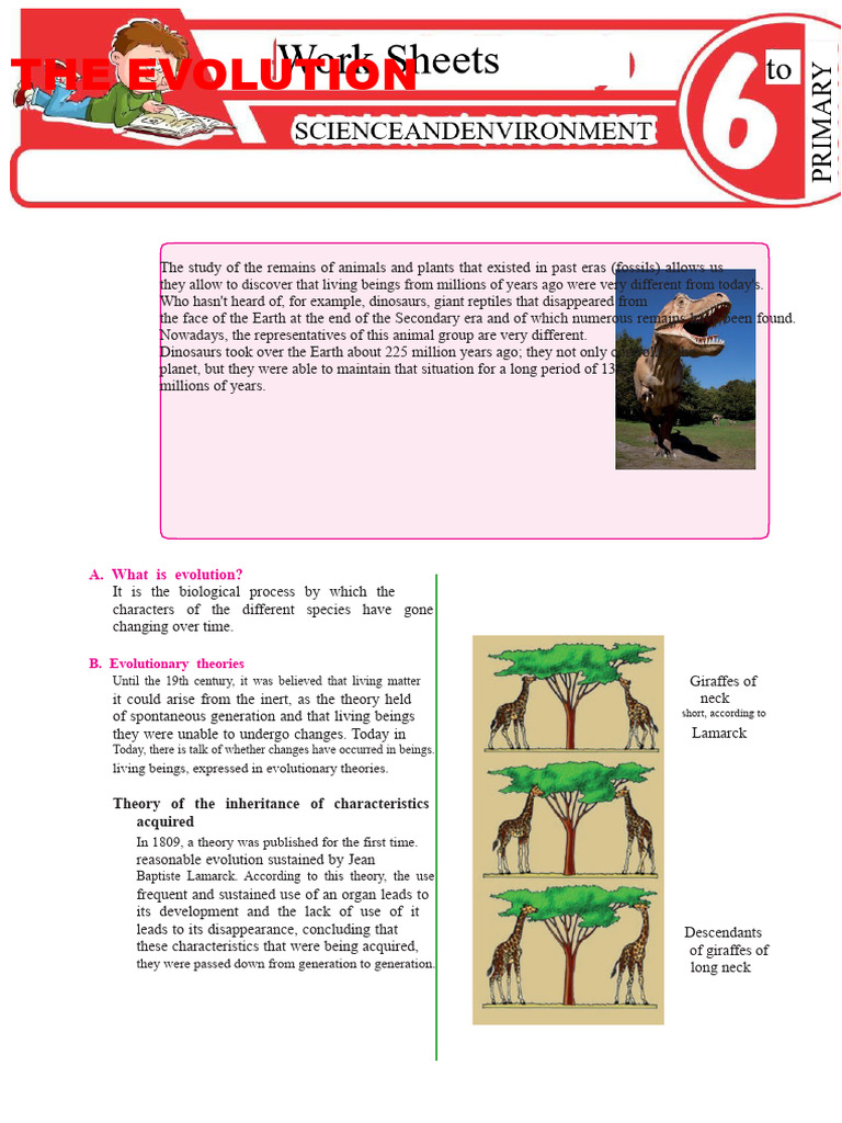 The Evolution For Sixth Grade of Primary School | PDF | Evolution ...
