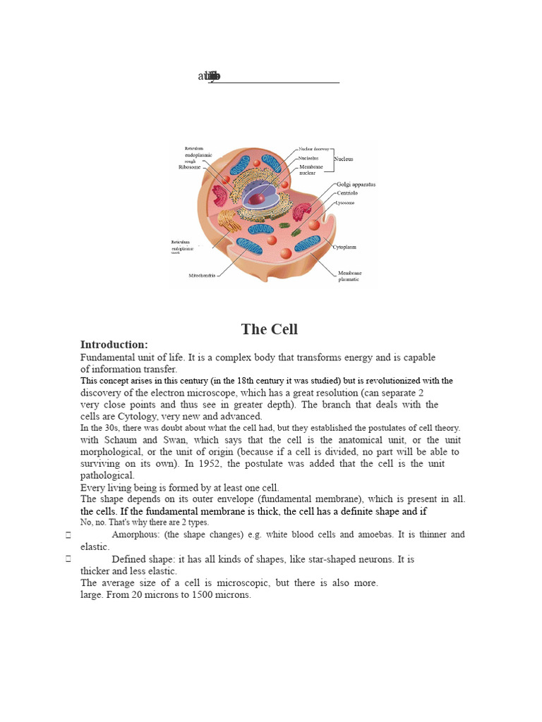 Understanding Cell Structure and Function | PDF | Endoplasmic Reticulum ...