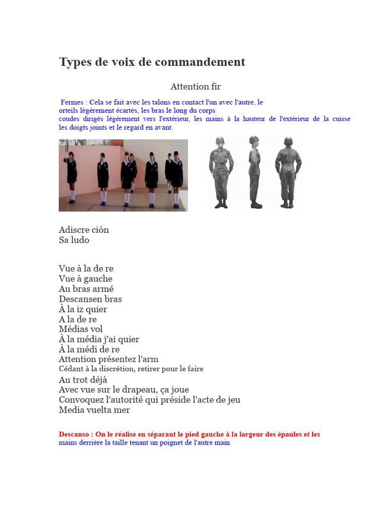 Types de voix de commandement militaires | PDF
