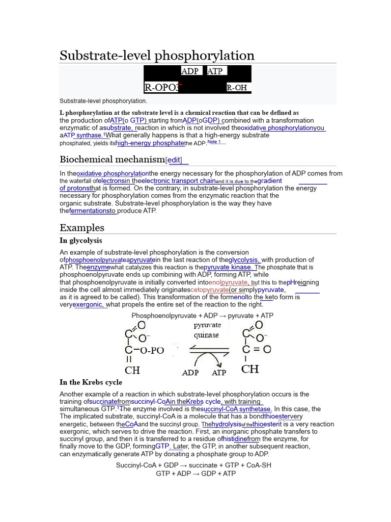 Substrate-Level Phosphorylation | PDF | Adenosine Triphosphate ...