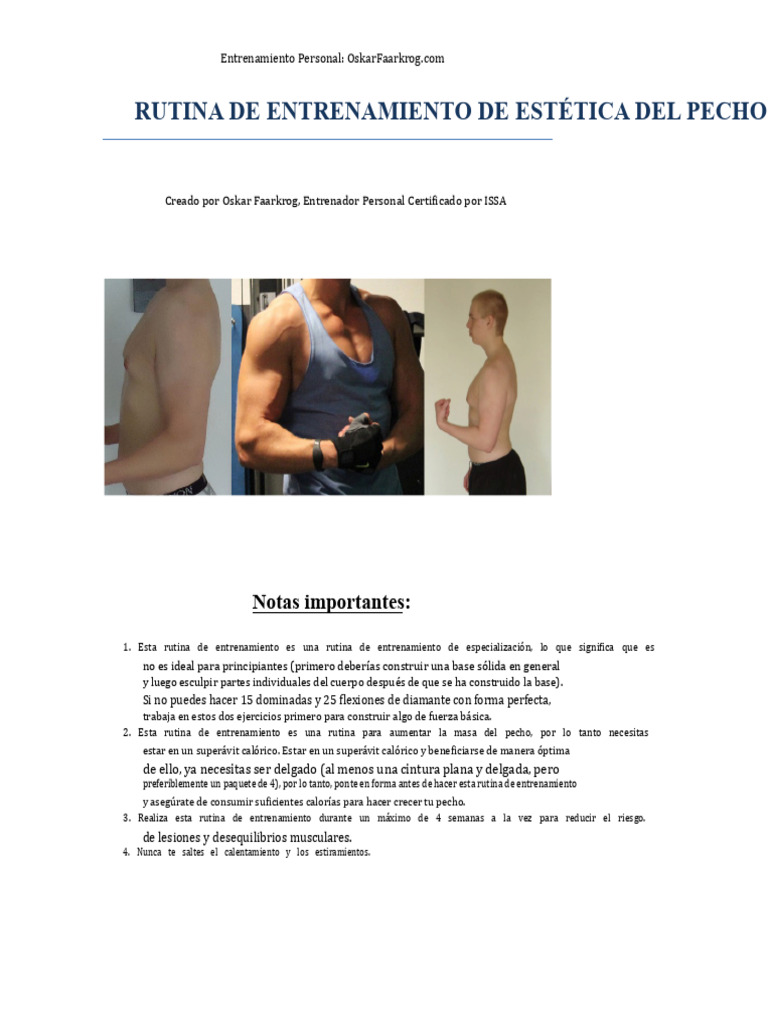 Rutina de Entrenamiento para La Estética Del Pecho PDF | PDF