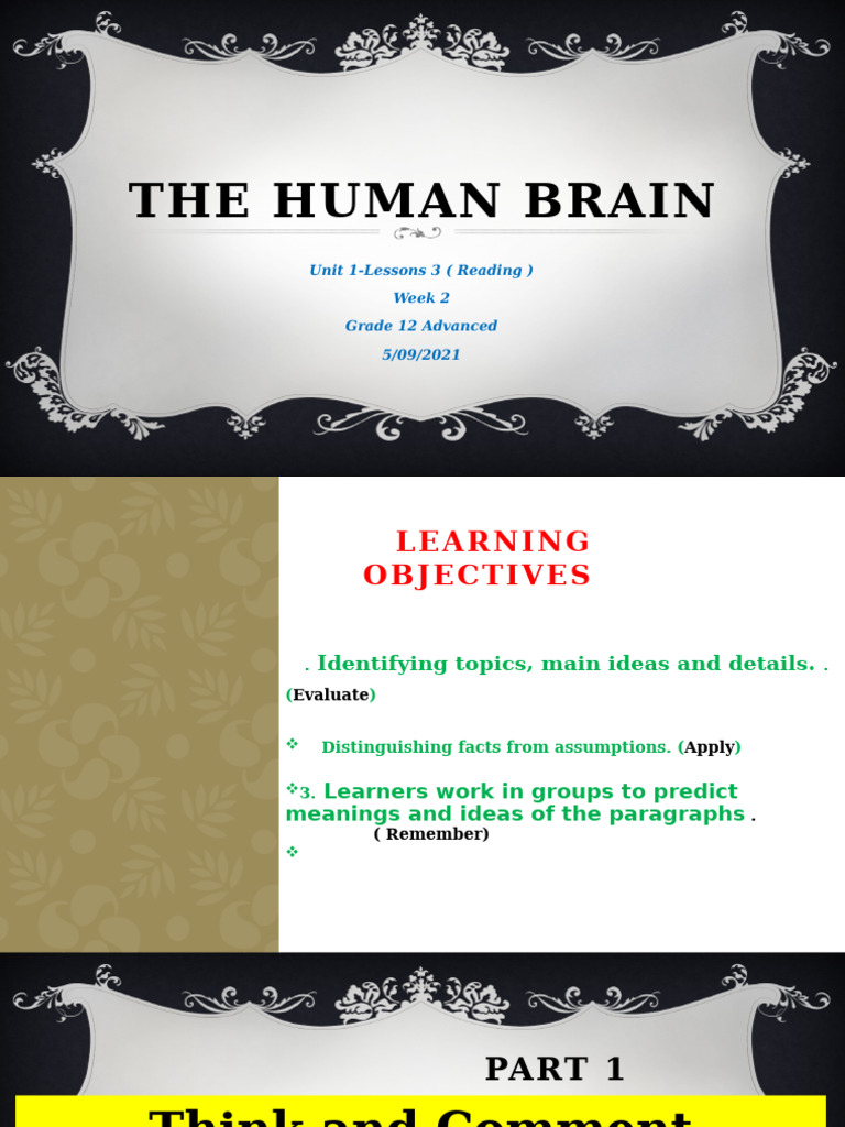 Understanding the Human Brain | PDF | Brain | Mind