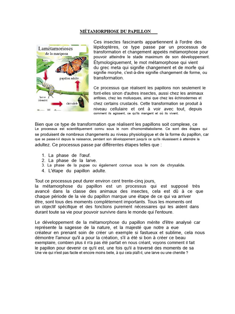 Métamorphose Du Papillon | PDF | Lépidoptères | Insectes