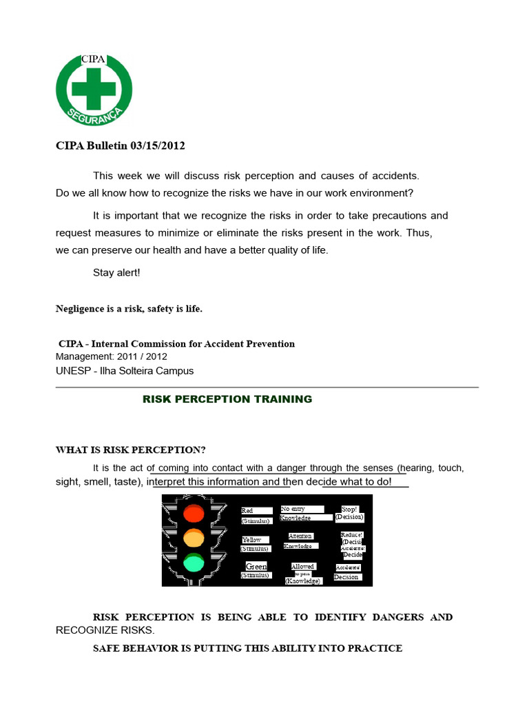 DDS - Perception of Risks and Causes of Accidents | PDF | Risk | Perception