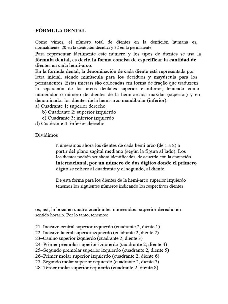Fórmula Dental y Morfología de Dientes | PDF | Diente humano | Diente