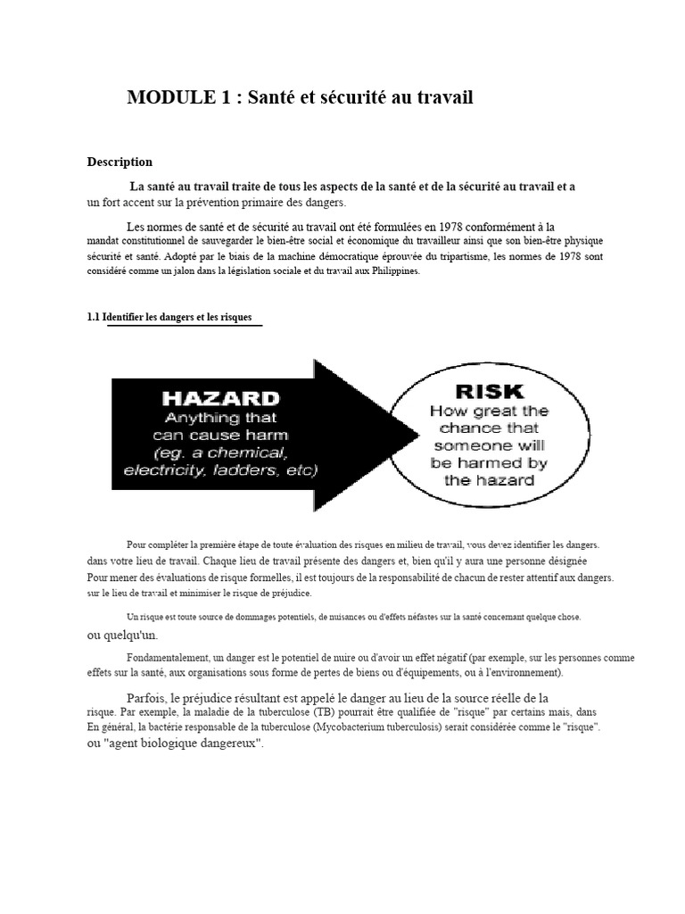 Santé et sécurité au travail : identification des risques | PDF | Santé ...
