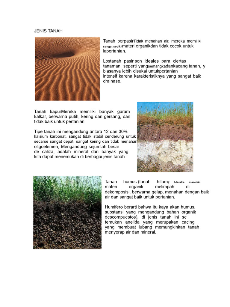 Jenis-Jenis Tanah dan Karakteristiknya | PDF