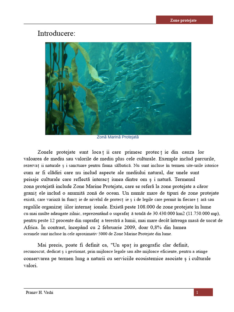 Zone Protejate - Proiect EVS | PDF
